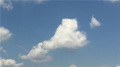 Banner Picture